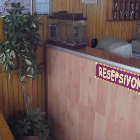 Auberge de jeunesse Filiz *