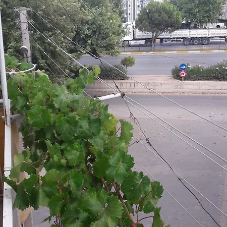 Filiz * Denizli (Denizli)