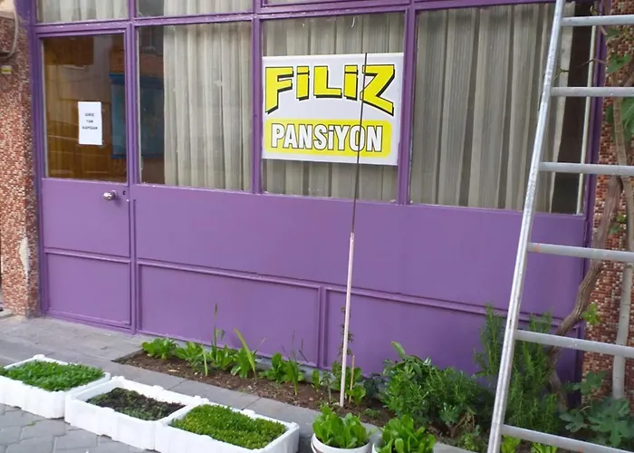 Fılız Pansıyon