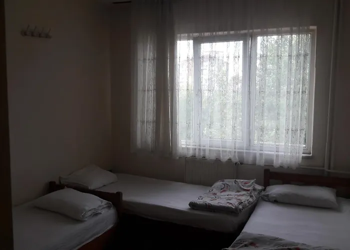 Fılız Pansıyon Denizli (Denizli)