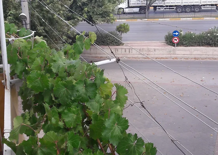 Fılız Pansıyon * Denizli (Denizli)